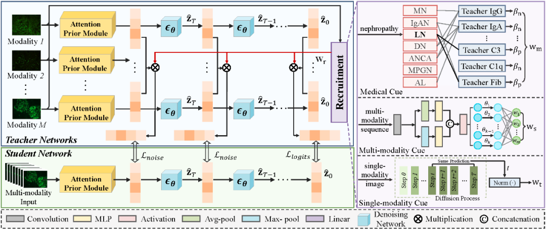 青年委员风采——蒋铼(图4)